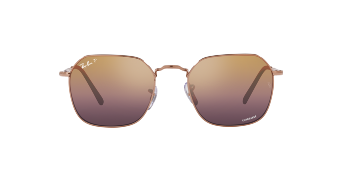 Ray-Ban Jim Sunglasses RB3694 9202G9