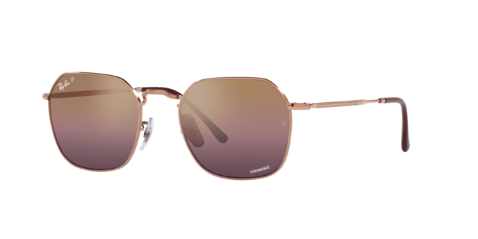 Ray-Ban Jim Sunglasses RB3694 9202G9