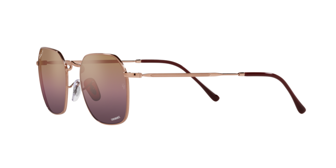 Ray-Ban Jim Sunglasses RB3694 9202G9