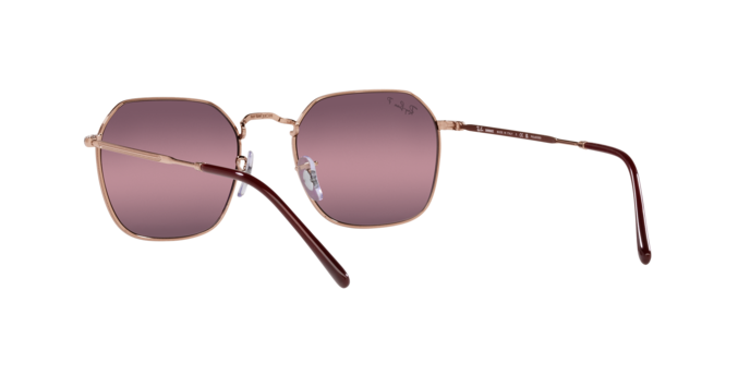 Ray-Ban Jim Sunglasses RB3694 9202G9
