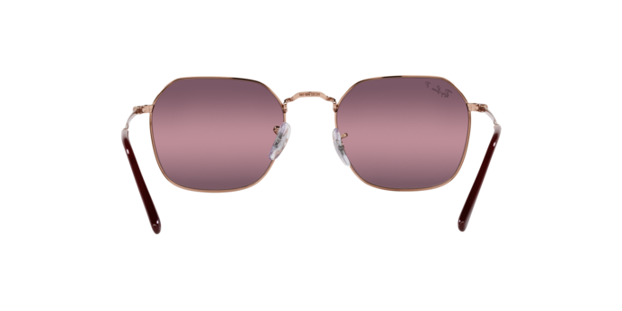 Ray-Ban Jim Sunglasses RB3694 9202G9