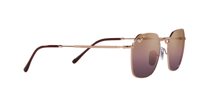 Ray-Ban Jim Sunglasses RB3694 9202G9
