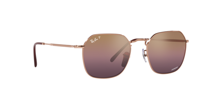 Ray-Ban Jim Sunglasses RB3694 9202G9