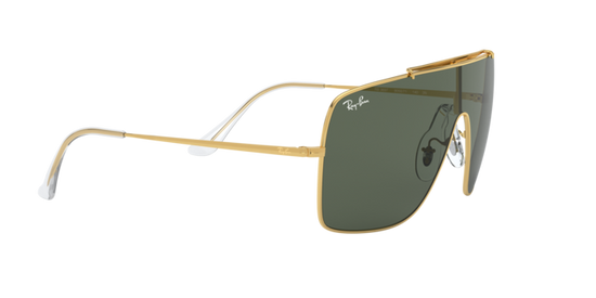 Ray-Ban Wings Ii Sunglasses RB3697 905071