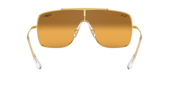Ray-Ban Wings Ii Sunglasses RB3697 9050Y1