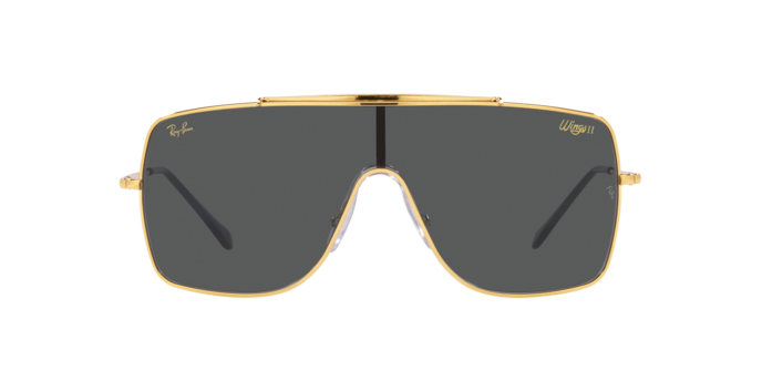 Ray-Ban Wings Ii Sunglasses RB3697 924687