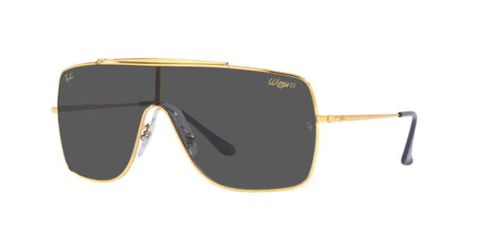 Ray-Ban Wings Ii Sunglasses RB3697 924687