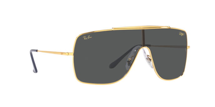 Ray-Ban Wings Ii Sunglasses RB3697 924687
