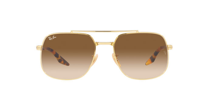 Ray-Ban Sunglasses RB3699 001/51