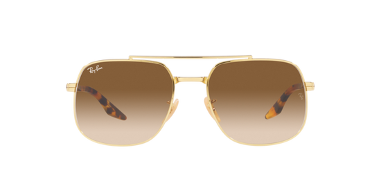 Ray-Ban Sunglasses RB3699 001/51