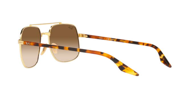 Ray-Ban Sunglasses RB3699 001/51