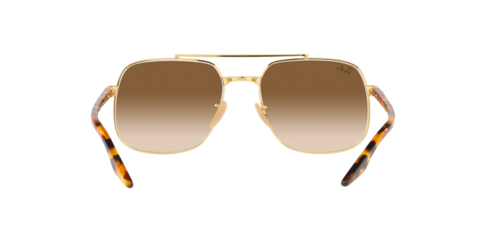 Ray-Ban Sunglasses RB3699 001/51