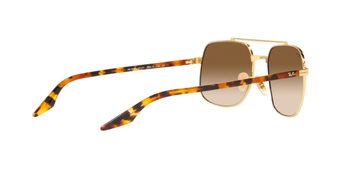 Ray-Ban Sunglasses RB3699 001/51