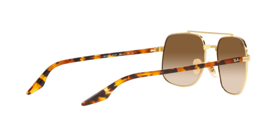 Ray-Ban Sunglasses RB3699 001/51