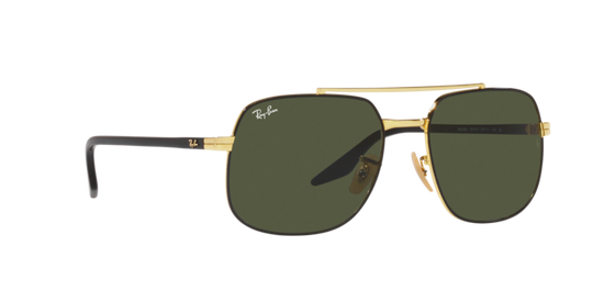 Ray-Ban Sunglasses RB3699 900031