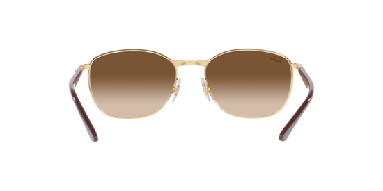 Ray-Ban Sunglasses RB3702 900951