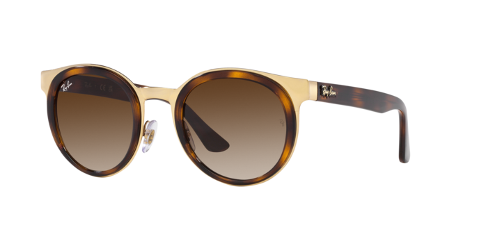 Ray-Ban Bonnie Sunglasses RB3710 001/13