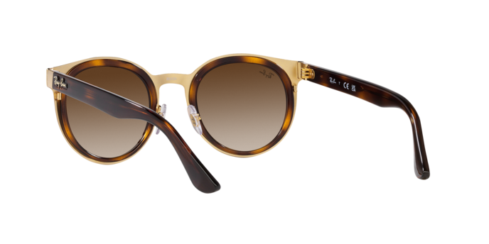 Ray-Ban Bonnie Sunglasses RB3710 001/13