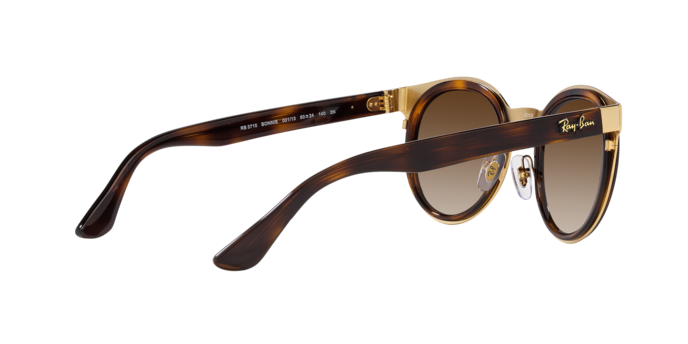 Ray-Ban Bonnie Sunglasses RB3710 001/13