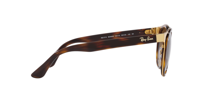 Ray-Ban Bonnie Sunglasses RB3710 001/13