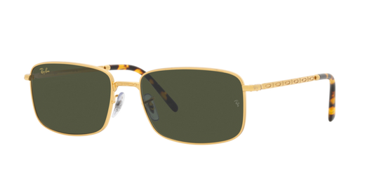 Ray-Ban Sunglasses RB3717 919631