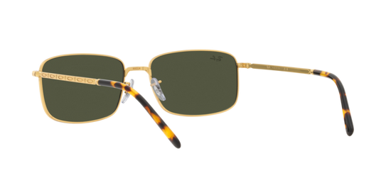 Ray-Ban Sunglasses RB3717 919631