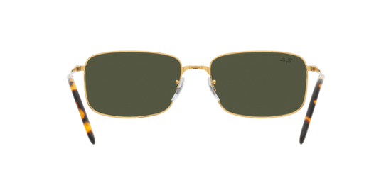 Ray-Ban Sunglasses RB3717 919631