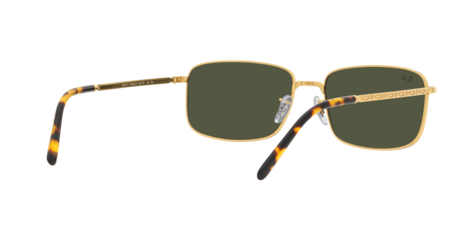 Ray-Ban Sunglasses RB3717 919631