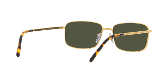 Ray-Ban Sunglasses RB3717 919631