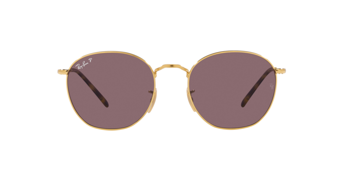 Ray-Ban Rob Sunglasses RB3772 001/AF