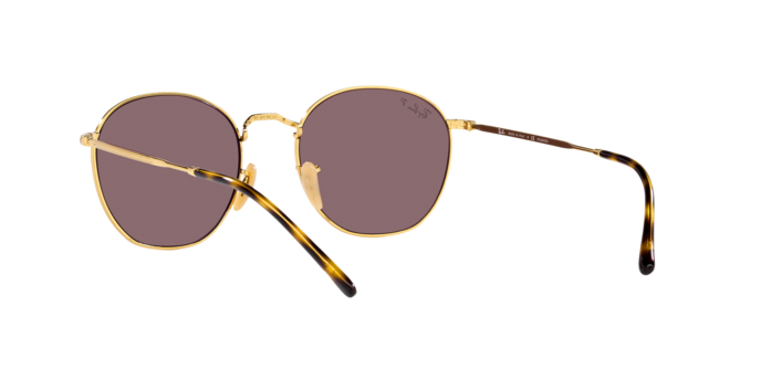 Ray-Ban Rob Sunglasses RB3772 001/AF