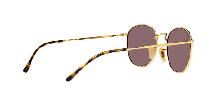 Ray-Ban Rob Sunglasses RB3772 001/AF