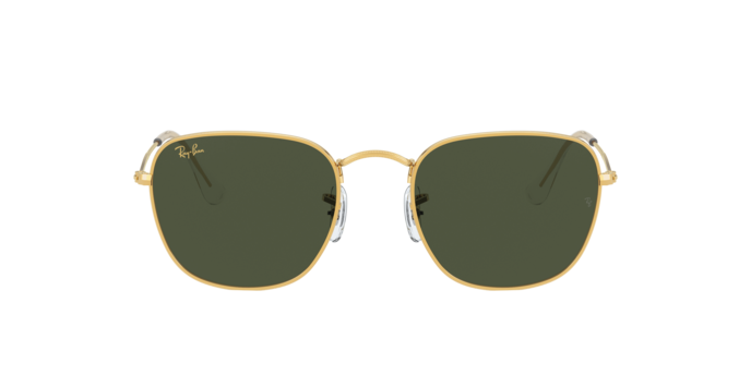 Ray-Ban Frank Sunglasses RB3857 919631