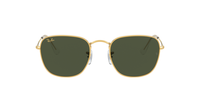 Ray-Ban Frank Sunglasses RB3857 922833