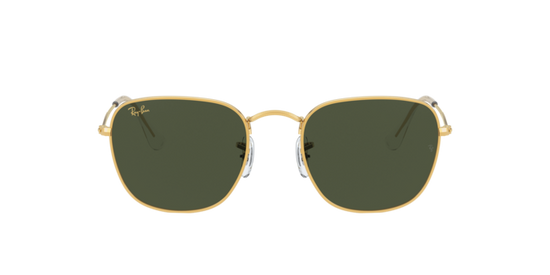 Ray-Ban Frank Sunglasses RB3857 919631