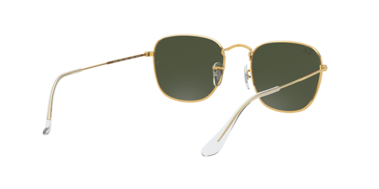 Ray-Ban Frank Sunglasses RB3857 919631