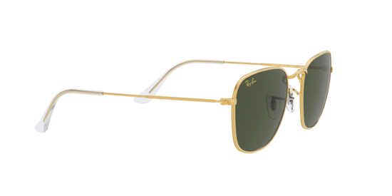 Ray-Ban Frank Sunglasses RB3857 919631