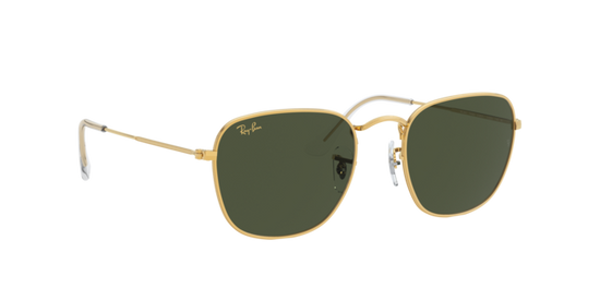 Ray-Ban Frank Sunglasses RB3857 919631