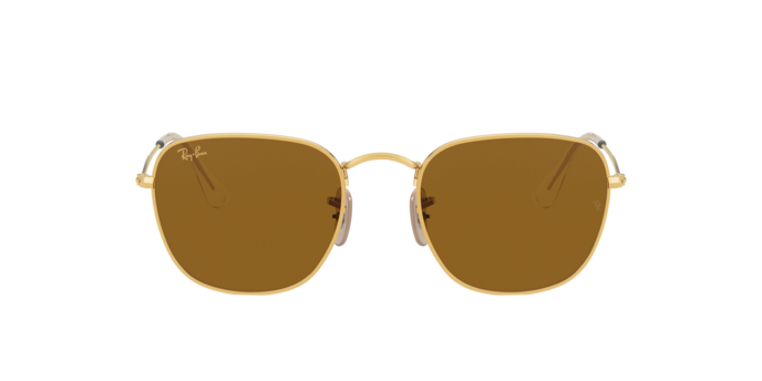 Ray-Ban Frank Sunglasses RB3857 919633