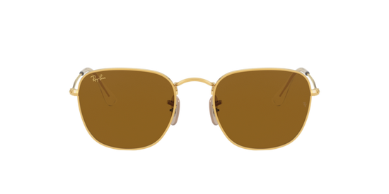 Ray-Ban Frank Sunglasses RB3857 919633