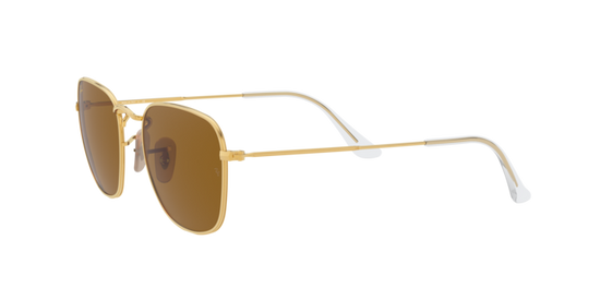 Ray-Ban Frank Sunglasses RB3857 919633