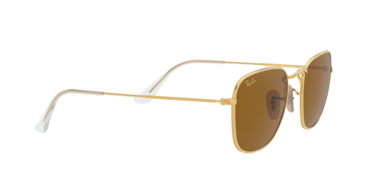 Ray-Ban Frank Sunglasses RB3857 919633