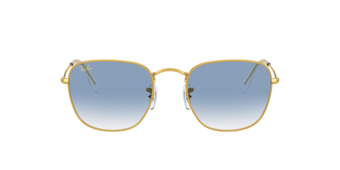 Ray-Ban Frank Sunglasses RB3857 91963F