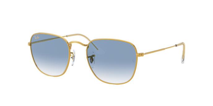 Ray-Ban Frank Sunglasses RB3857 91963F