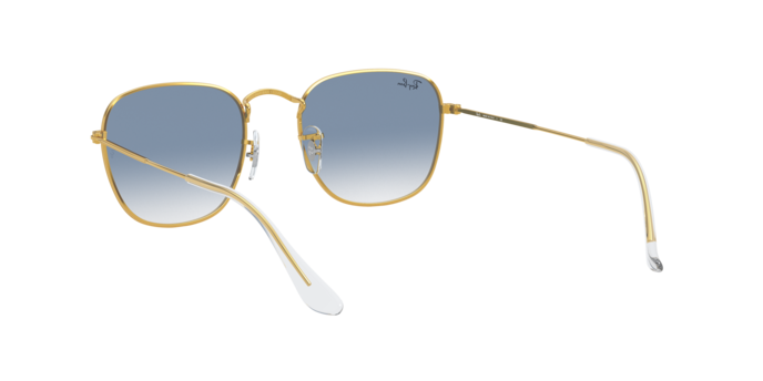 Ray-Ban Frank Sunglasses RB3857 91963F