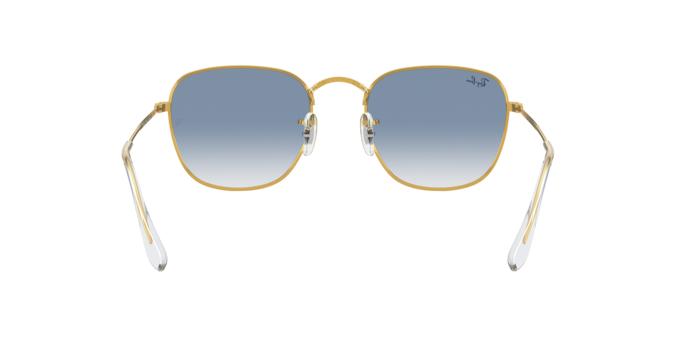 Ray-Ban Frank Sunglasses RB3857 91963F