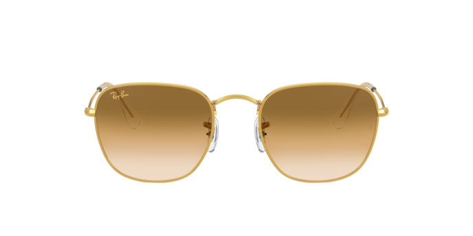Ray-Ban Frank Sunglasses RB3857 919651