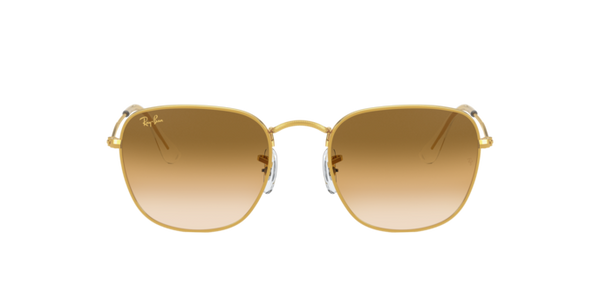 Ray Ban Frank RB3857 919651