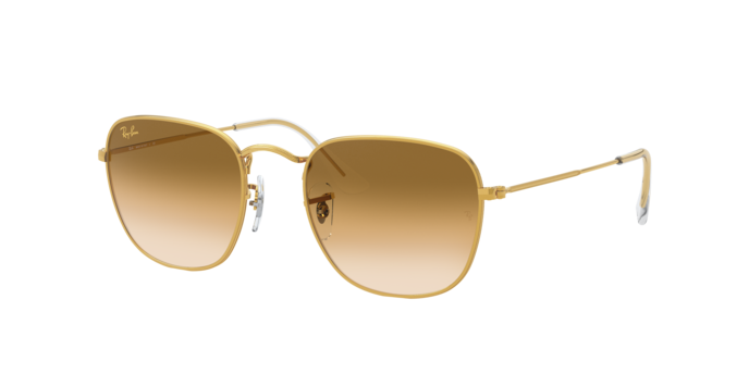 Ray-Ban Frank Sunglasses RB3857 919651