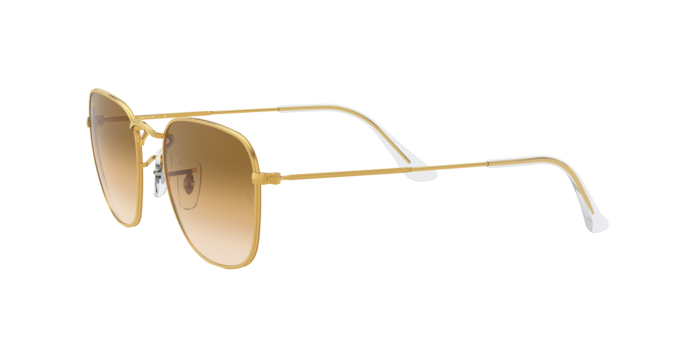 Ray-Ban Frank Sunglasses RB3857 919651